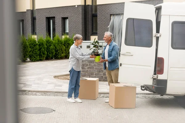 Vue latérale de l'homme mûr et de la femme souriante tenant l'usine près de la nouvelle maison — Photo de stock