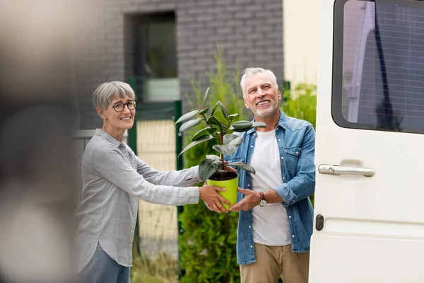 Зрілий чоловік і усміхнена жінка тримає рослину біля нового будинку — стокове фото