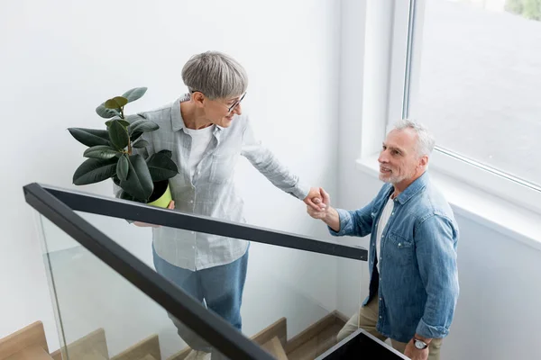 Повзрослевшая женщина с растением, держащимся за руки с мужчиной в новом доме — стоковое фото