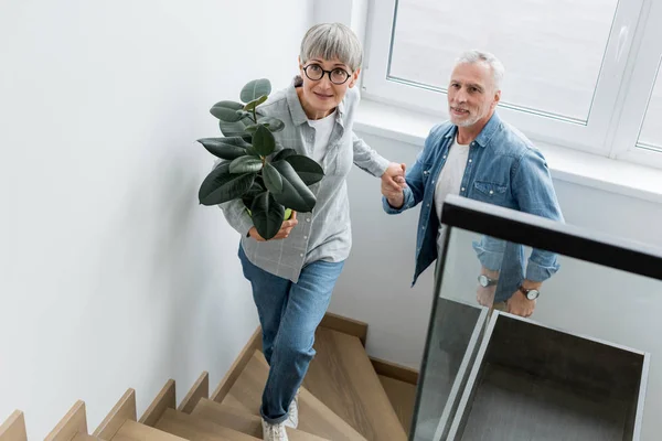 Mature woman with plant holding hands with man in new house — Stock Photo