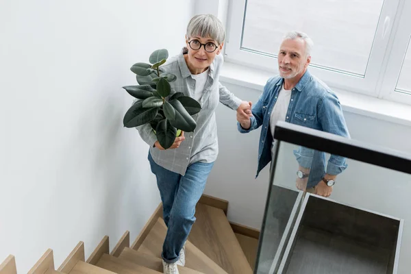 Mujer madura con planta cogida de la mano con el hombre en casa nueva - foto de stock