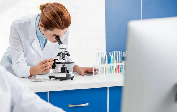 Foco seletivo do nutricionista molecular usando microscópio em laboratório — Fotografia de Stock