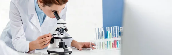 Tiro panorâmico de nutricionista molecular usando microscópio em laboratório — Fotografia de Stock