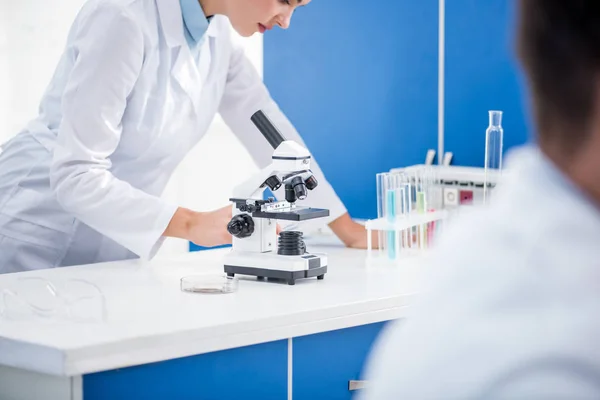 Visão cortada de nutricionista molecular usando microscópio em laboratório — Fotografia de Stock