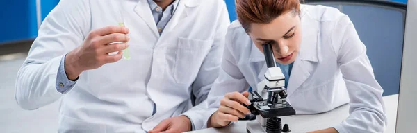 Tiro panorâmico de nutricionista molecular usando microscópio e tubo de ensaio colega segurando — Fotografia de Stock