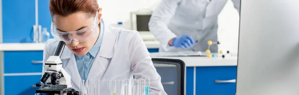 Panoramic shot of molecular nutritionist using microscope in lab — Stock Photo