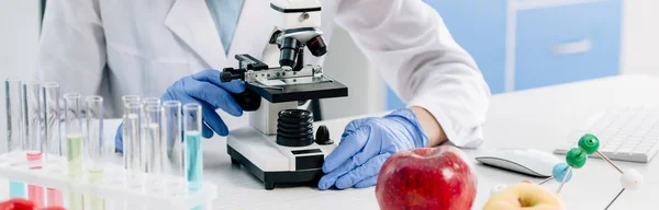 Prise de vue panoramique du nutritionniste moléculaire au microscope en laboratoire — Photo de stock