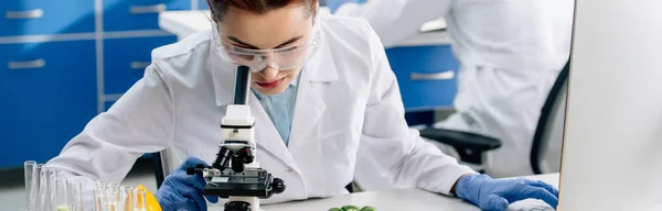 Panoramic shot of molecular nutritionist using microscope and sitting at table — Stock Photo