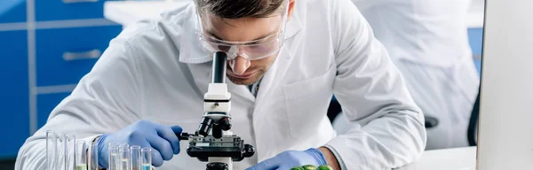 Prise de vue panoramique du nutritionniste moléculaire au microscope en laboratoire — Photo de stock