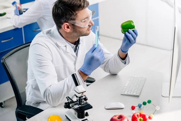High angle view of molecular nutritionist holding bell pepper and test tube — Stock Photo
