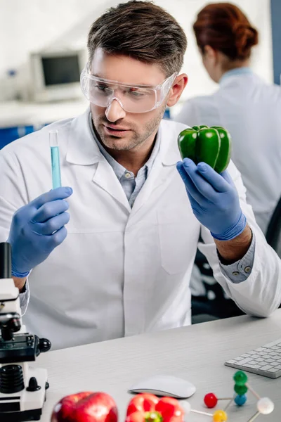 Nutritionniste moléculaire tenant poivron et éprouvette en laboratoire — Photo de stock