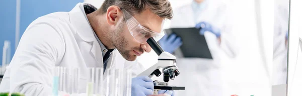 Prise de vue panoramique du nutritionniste moléculaire au microscope en laboratoire — Photo de stock