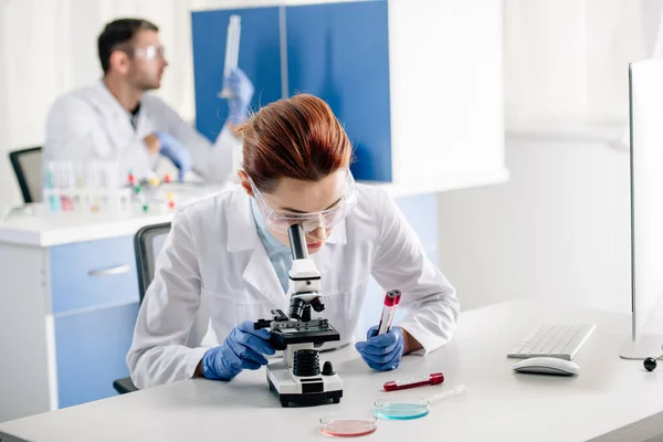 Orientation sélective du consultant en génétique tenant des éprouvettes et utilisant un microscope en laboratoire — Photo de stock