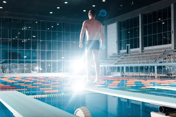 Vista posteriore del nuotatore muscolare in piedi sul trampolino vicino alla piscina — Foto stock