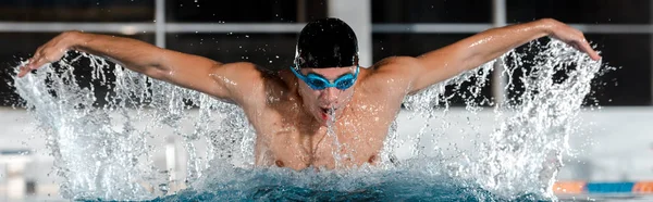 Plano panorámico de deportista nadando mariposa golpe en piscina - foto de stock