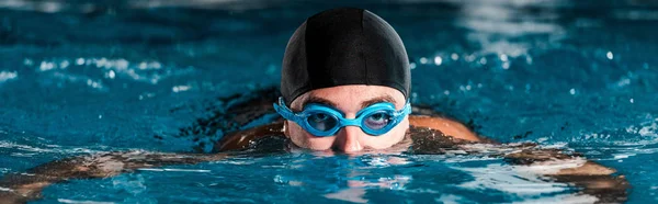 Panoramic shot of athletic man in goggles training in swimming pool — Stock Photo