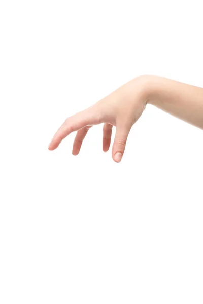 Vista ritagliata della donna mostrando tenere gesto isolato su bianco — Foto stock