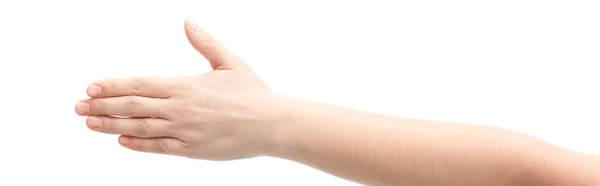 Panoramic shot of man with outstretched hand isolated on white — Stock Photo