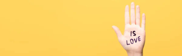 Panoramic shot of woman with is love lettering on hand isolated on yellow — Stock Photo