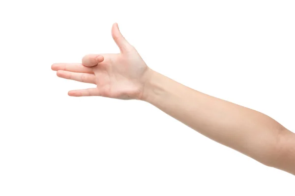 Recortado vista de mujer mostrando perro cabeza gesto aislado en blanco — Stock Photo