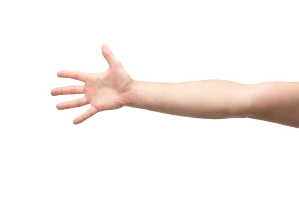 Cropped view of man showing five fingers gesture isolated on white — Stock Photo
