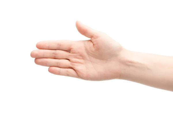 Cropped view of woman showing palm isolated on white — Stock Photo