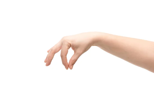 Cropped view of woman showing hold gesture isolated on white — Stock Photo