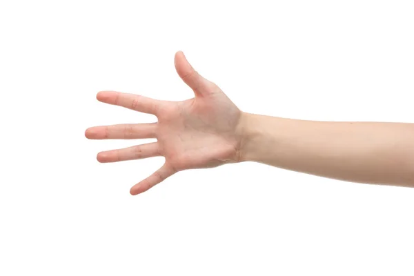 Cropped view of woman showing palm isolated on white — Stock Photo