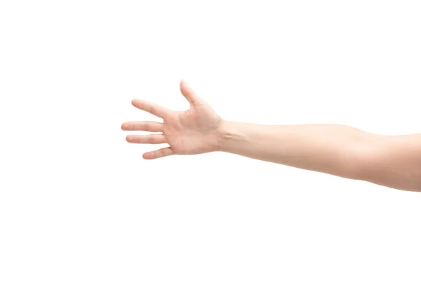 Cropped view of woman showing palm isolated on white — Stock Photo