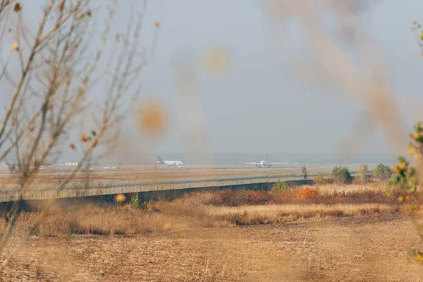 Enfoque selectivo de aviones en pista de aterrizaje en campo herboso - foto de stock