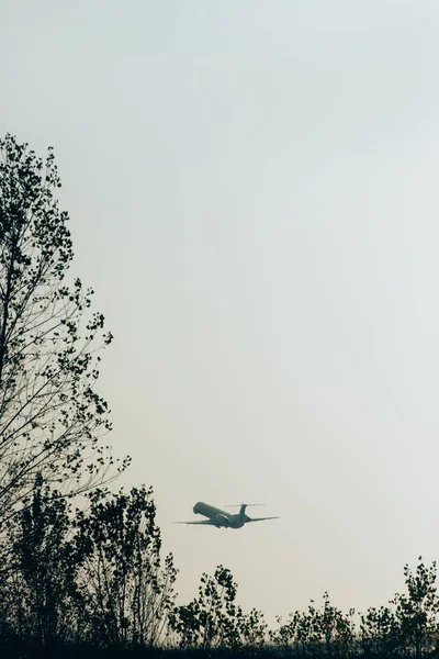 Silhouettes of trees and aeroplane in sky at sunset — Stock Photo