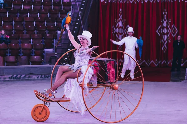 QUIIV, UCRÂNIA - NOVEMBRO 1, 2019: Foco seletivo de manipuladores com papagaios ara e carruagem na arena de circo — Fotografia de Stock