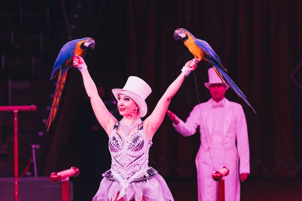 KYIV, UKRAINE - NOVEMBER 1, 2019: Selective focus of handler holding ara parrots in circus — Stock Photo