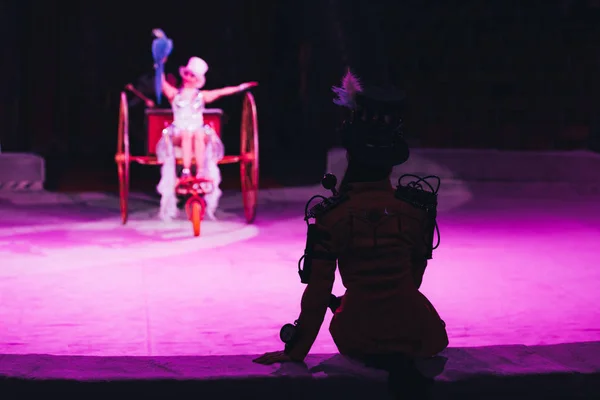 КИЕВ, УКРАИНА - 1 НОЯБРЯ 2019 года: Выборочный фокус художника, сидящего на цирковой арене и куратора с попугаем на колеснице на заднем плане — стоковое фото