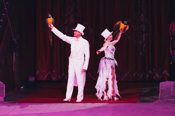 KYIV, UCRAINA - 1 NOVEMBRE 2019: I gestori eseguono trick con pappagalli ara nel circo — Foto stock