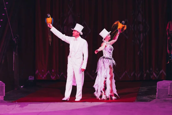 KYIV, UKRAINE - NOVEMBER 1, 2019: Handlers performing trick with ara parrots in circus — Stock Photo