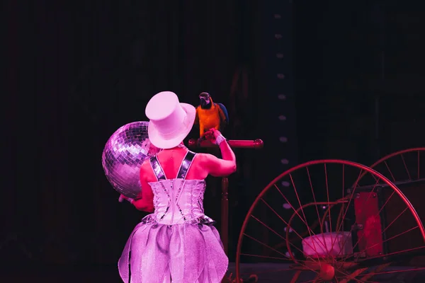 KYIV, UKRAINE - NOVEMBER 1, 2019: Back view of handler performing trick with ara parrot in circus — Stock Photo