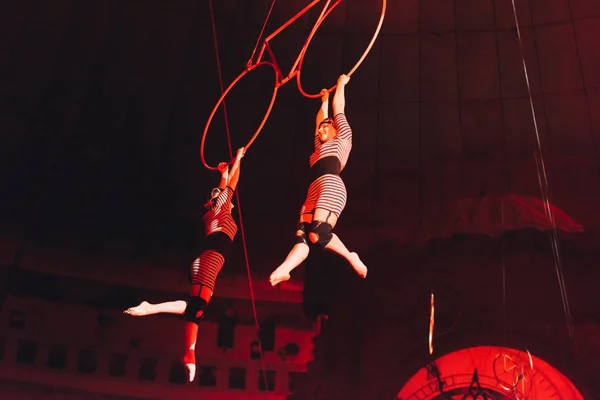 KYIV, UKRAINE - 1er NOVEMBRE 2019 : Vue en angle bas des acrobates aériens qui jouent avec des anneaux au cirque — Photo de stock