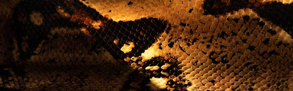 Close up view of pattern on python snakeskin in sunlight, panoramic shot — Stock Photo