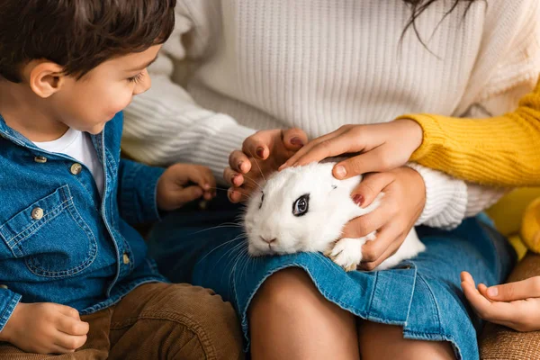 Частичный вид матери и детей, трогающих белого смешного кролика — стоковое фото