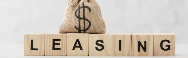 Panoramic shot of dollar bag with leasing lettering on wooden cubes on white — Stock Photo