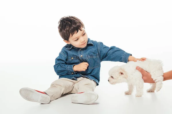 Corte vista de mulher segurando Havanese filhote de cachorro e menino acariciando no fundo branco — Fotografia de Stock