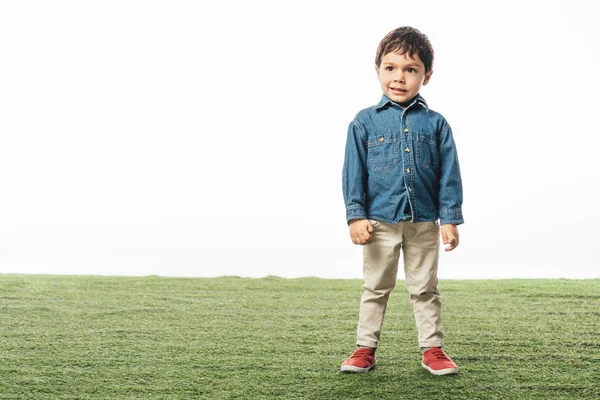 Sorrindo e bonito menino de pé na grama isolado no branco — Fotografia de Stock