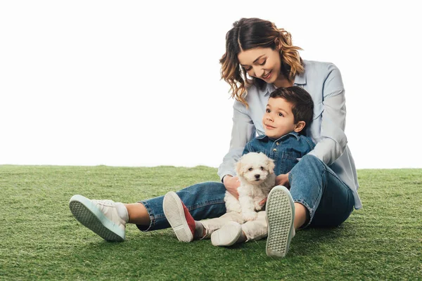 Sonriente madre sosteniendo cachorro de Havanese y mirando hijo aislado en blanco - foto de stock