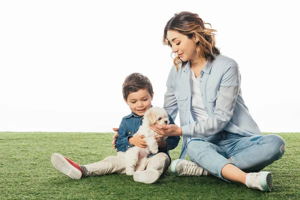 Sorridente madre e figlio con in braccio cucciolo avanese isolato su bianco — Foto stock