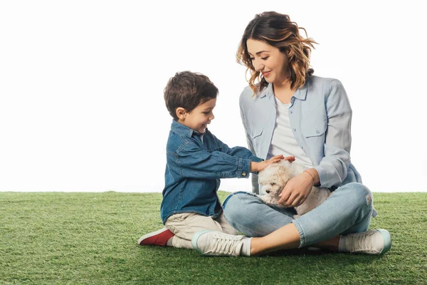 Lächelnde Mutter schaut Sohn an und er streichelt Havaneser Welpe isoliert auf weißem Grund — Stockfoto