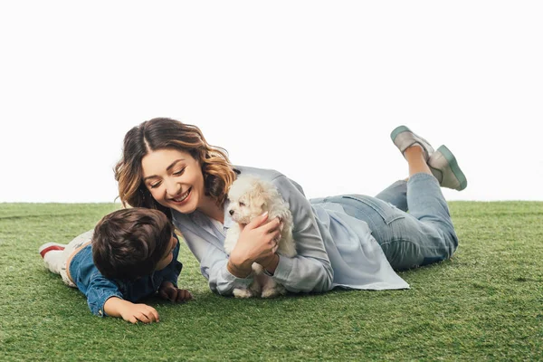 Smiling mother holding Havanese puppy and son looking at it isolated on white — Stock Photo