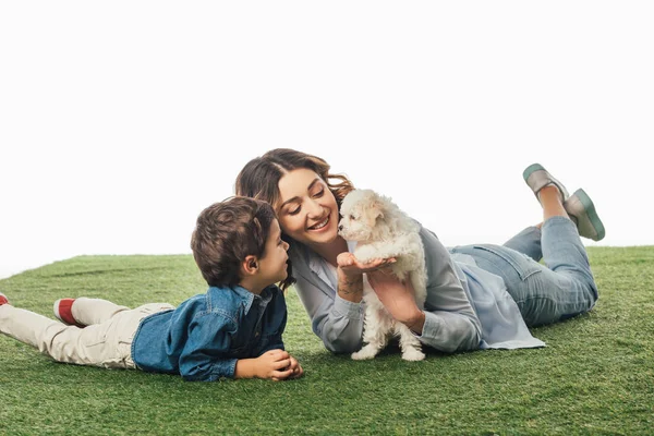 Smiling mother and son looking at Havanese puppy isolated on white — Stock Photo