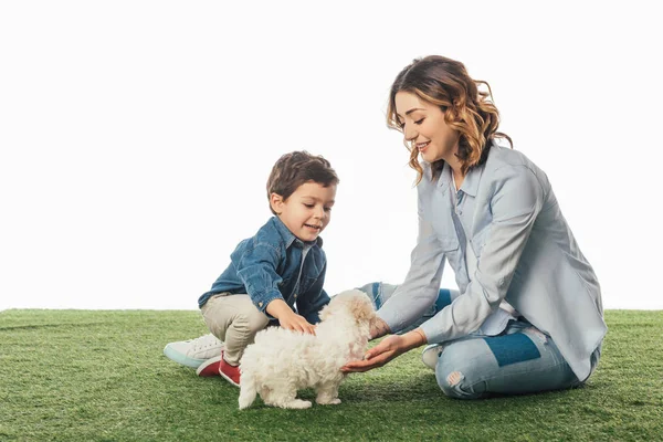 Smiling mother and son stroking Havanese puppy isolated on white — Stock Photo