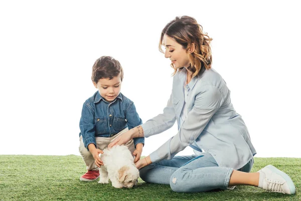 Sorridente madre e figlio accarezzando cucciolo avanese isolato su bianco — Foto stock